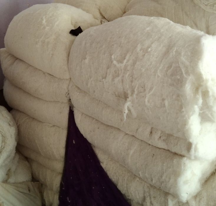 Paxta titish xizmati va kõrpa tõshak tikish xizmati