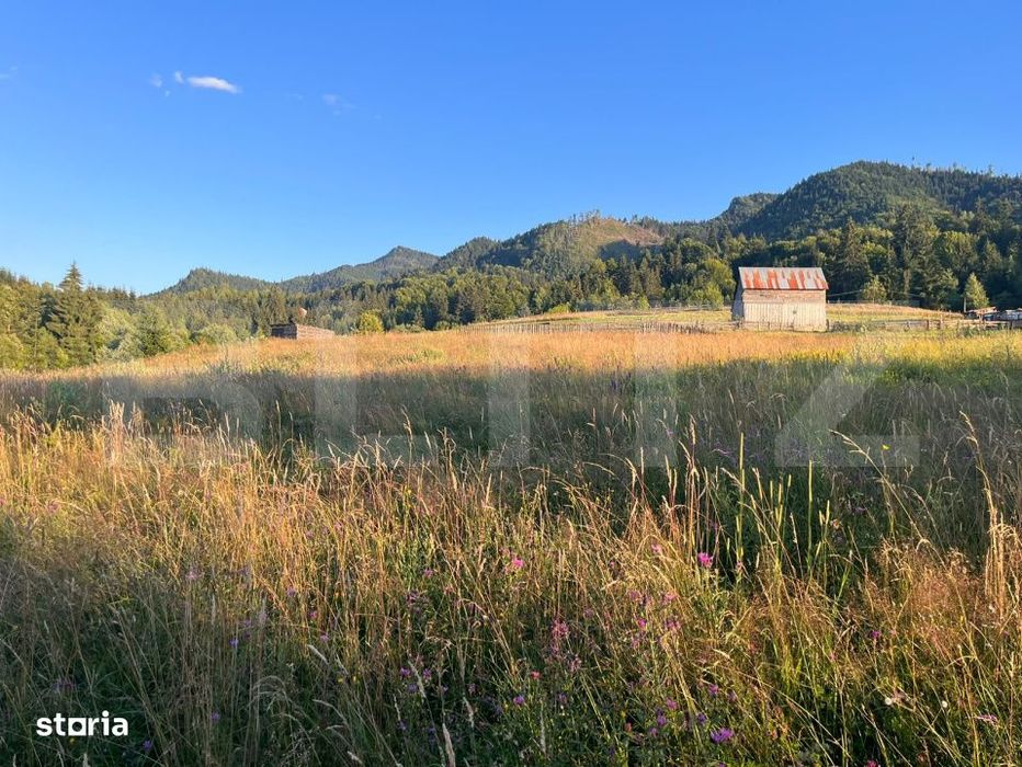 Teren intravilan de 10 ari cu vedere la lac, Colibita
