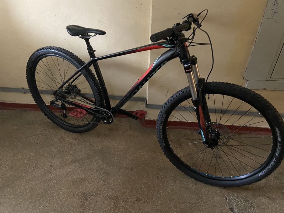 Bicicleta29 specialized