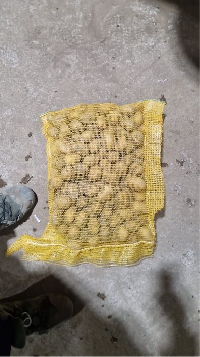 Cartofi Franta, de consum si de plantat.