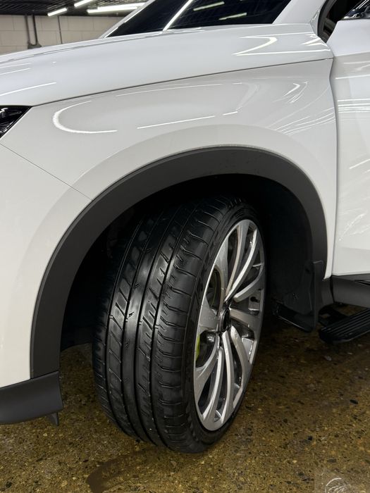 Byd chempion 150full 2025