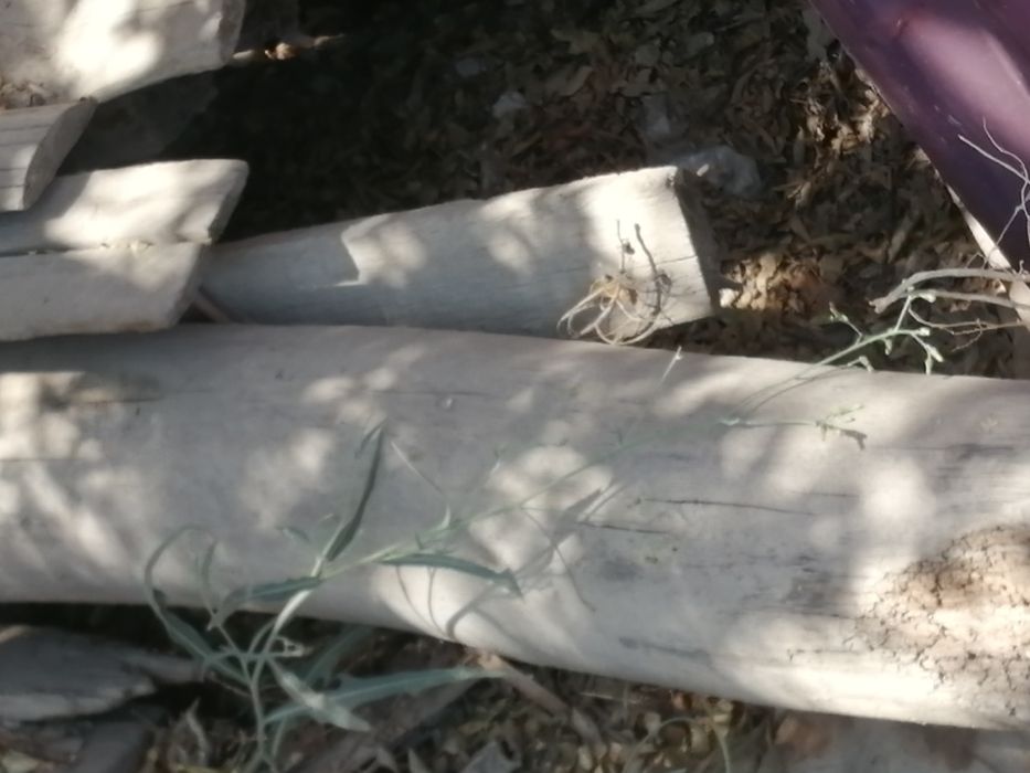 Продам бөрене б/у (бревна) 3 - 5 тыс.