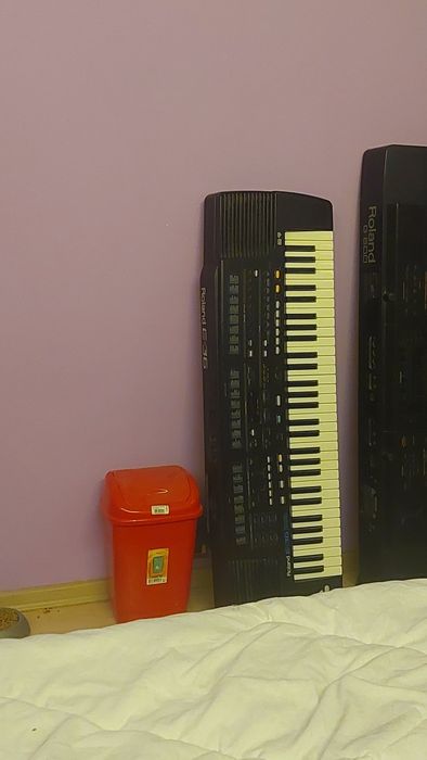 Roland E-36, 70 evro за ремонт Клавир,синтезатор,пиано Роланд Е36 за гумички