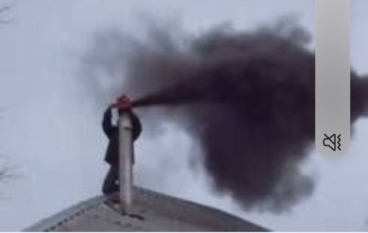 Mori tozalash xizmati