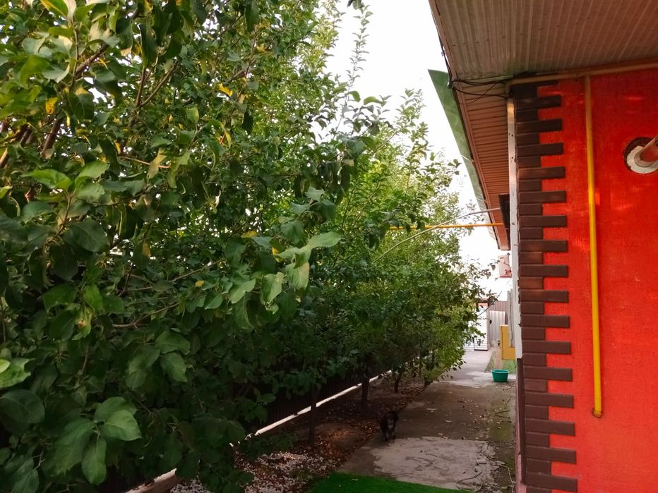 Продам дом, в Ашибулак (Мухамеджан туймебаева