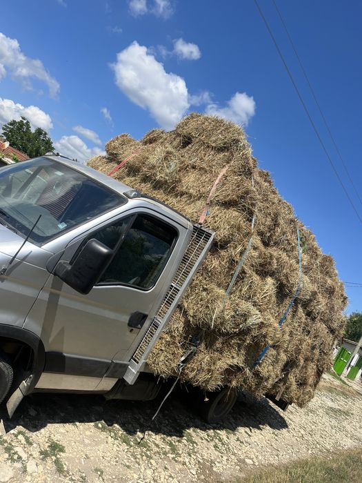 Продавам Бали Царевичак,Сено и Люцерна реколта 2025