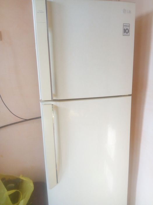 LG muzlatkichi surojni