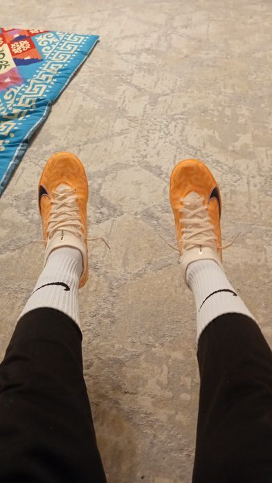 Потерялись сороконожки