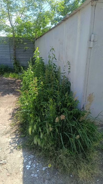 Продам металлический гараж