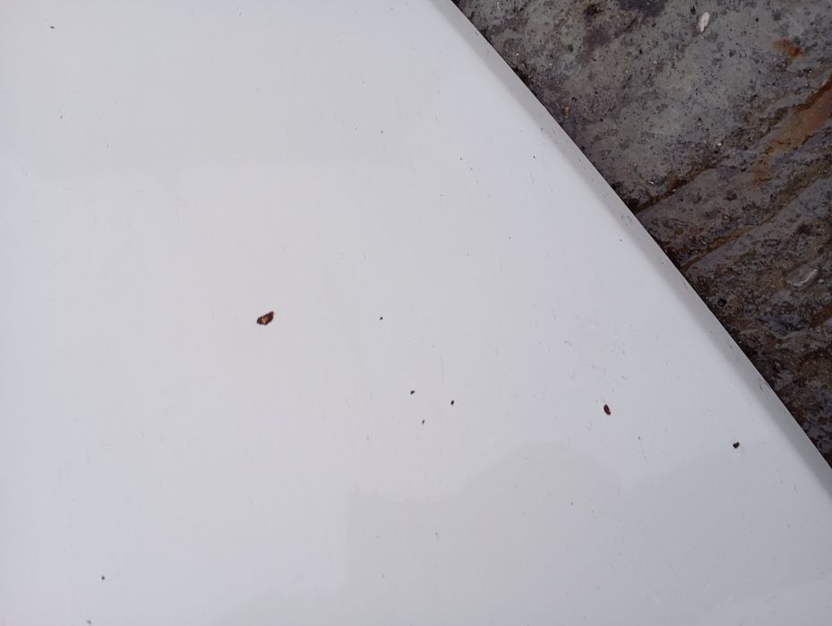 Преден капак VW Transporter T4