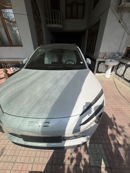 Byd sea lion 06 full