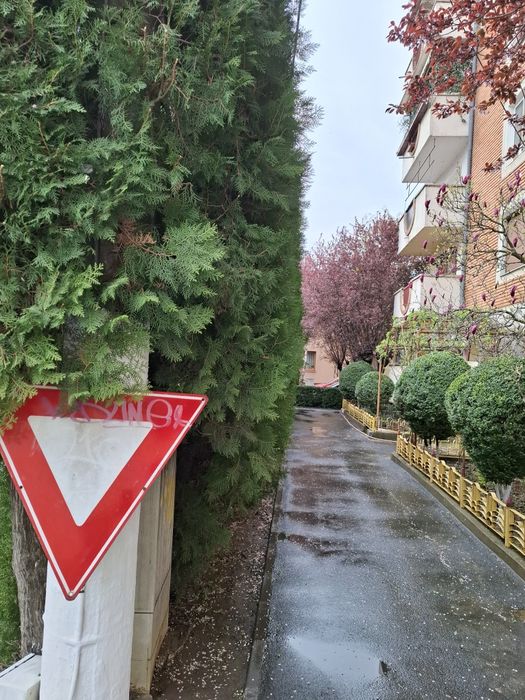 Tuns iarba / cosit grădini și curți – rapid și convenabil