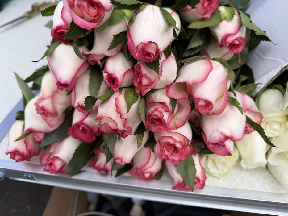 Розы по 600 тенге