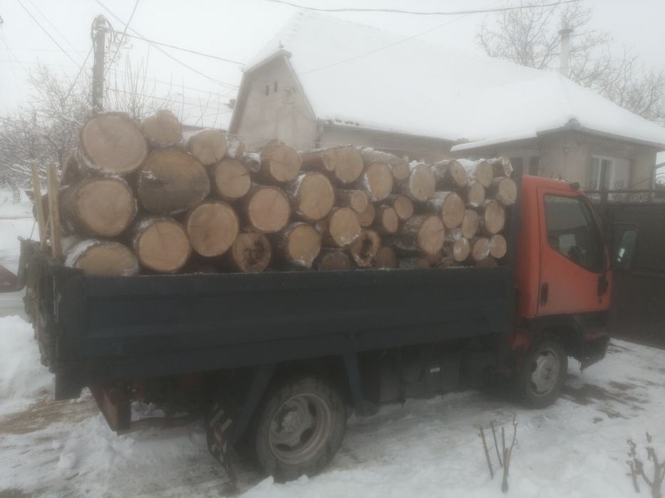 Lemn de foc uscat de stejar