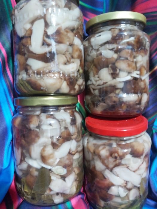 Грибы маринованные и солёные.