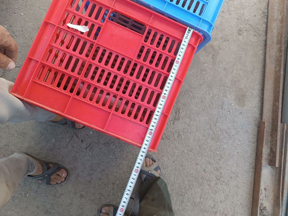 Plasmasa yashik tara