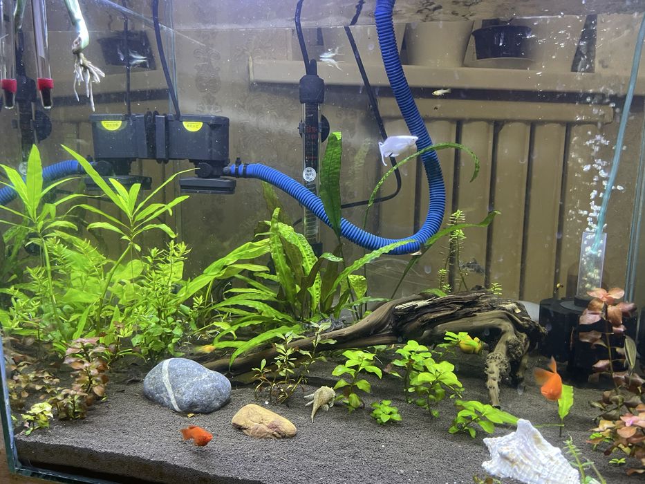 Аквариум на заказ, сборка и установка