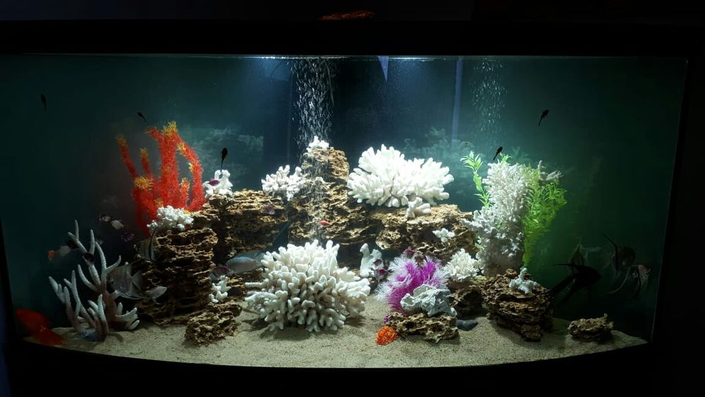 Аквариум "под ключ"