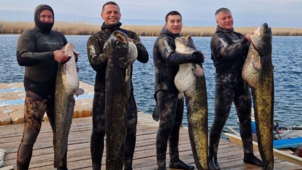 Рыбалка подводная охота на Балхаше