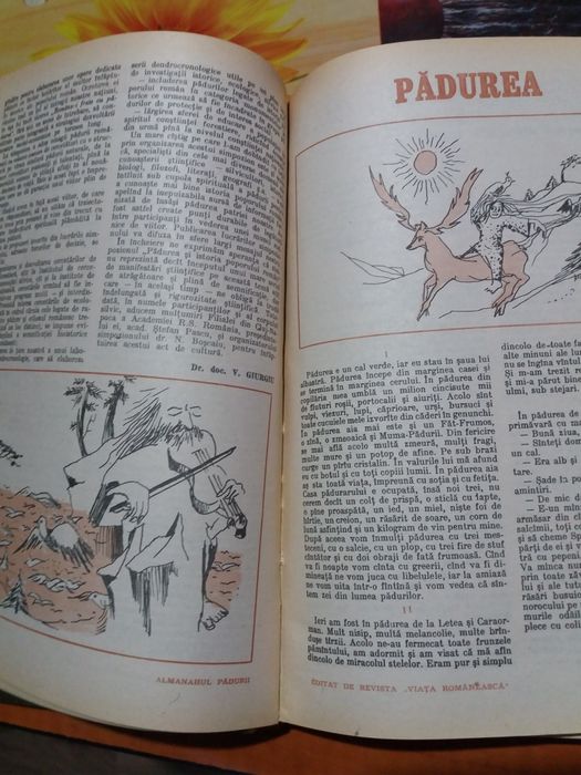 Almanahul Padurilor 1985