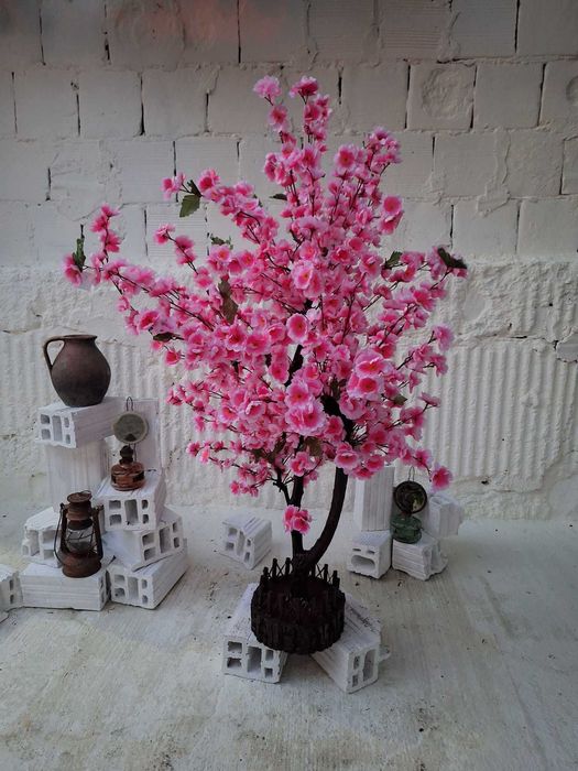 Декоративни дръвчета Аря