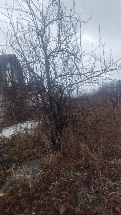 Продам Дачный участок