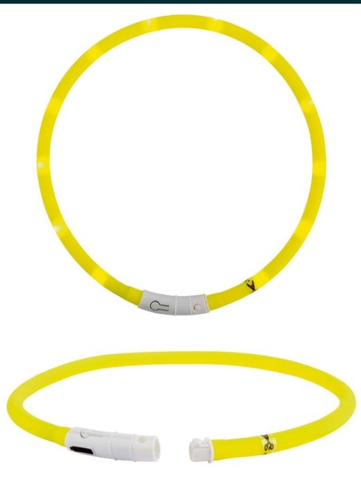 zgarda caine catel pisica pisic ham lesa la plimbare