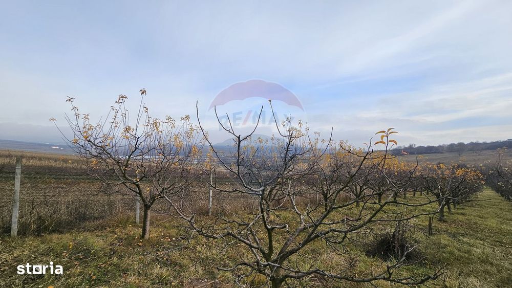 Teren extravilan 10,791mp Falticeni / Strada DJ209A, Opriseni