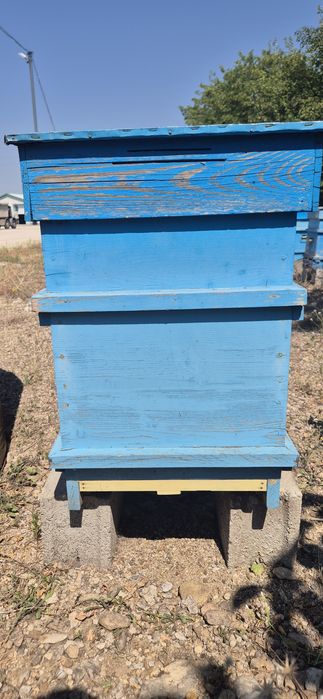 Продавам развити пчелни кошери