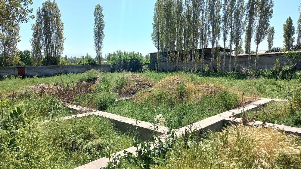 Yangi Toshkent yaqinida yer uchastkasi sotiladi