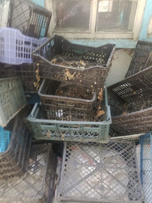 Пласмасовые ящики бу