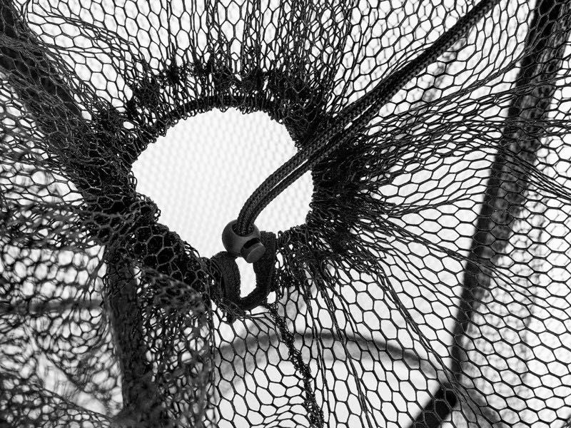 Juvelnic plutitor, Baitpool - Delphin