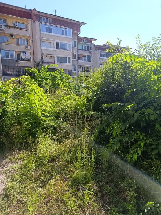 Предлагам косене на трева с бензинова косачка