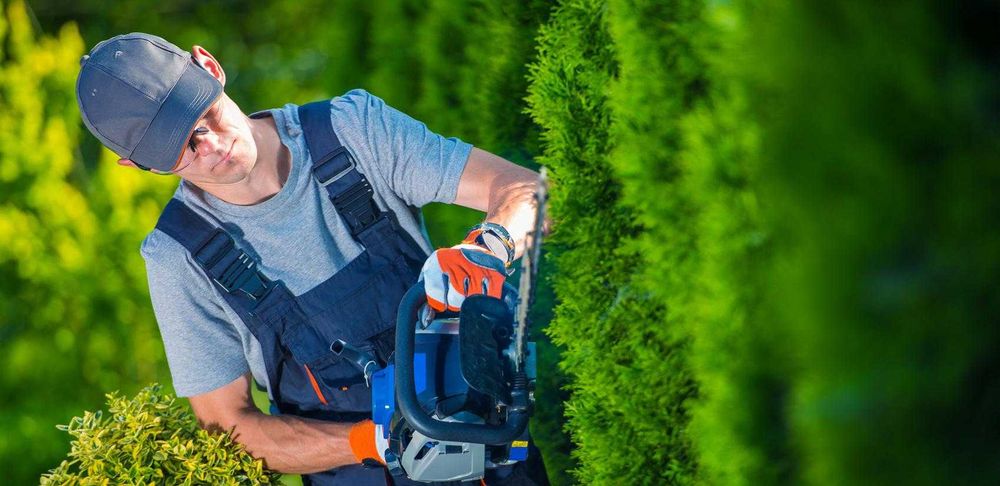 Обслуживание сада | Услуги садовника