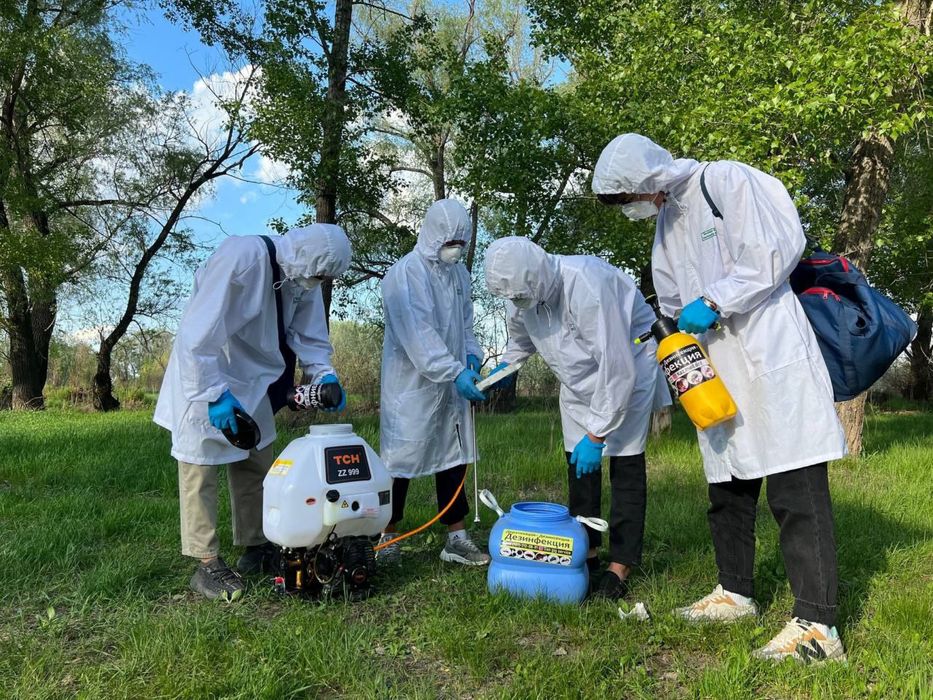 Жағымсыз жәндіктерді толыққанды жою және тазалау қызметі