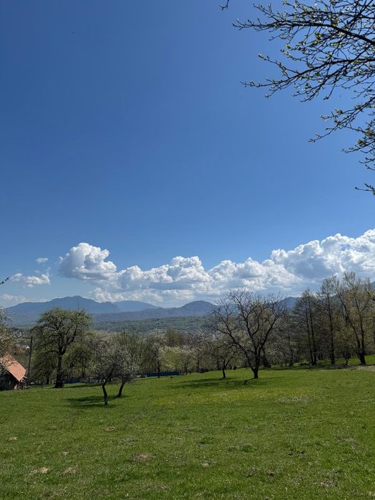 Teren Bran Predelut la poale de munte intravilan