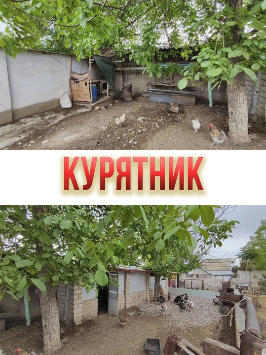 Дом(Дача) уже в Ташкенте!