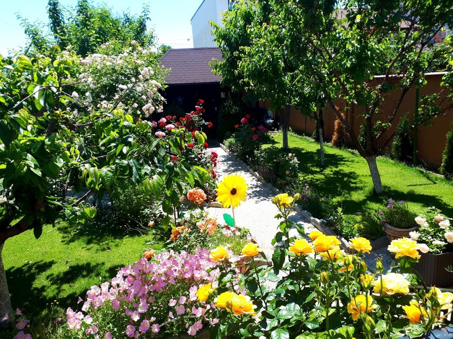 Vand casa p+1+mansarda