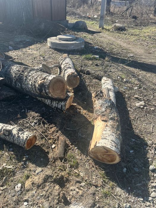 Отдам даром дрова самовывоз