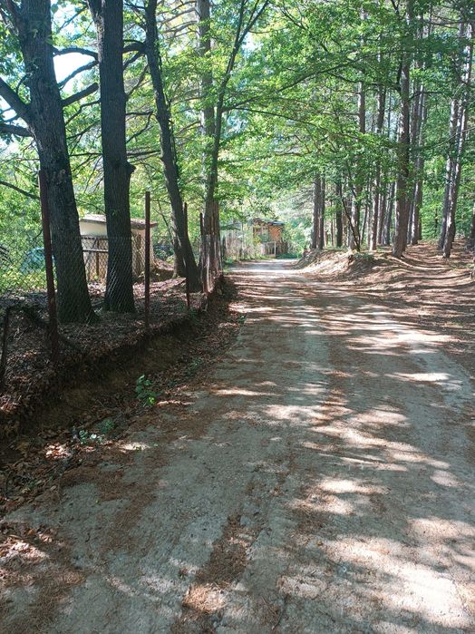 Продава Етаж от къща с.Владая