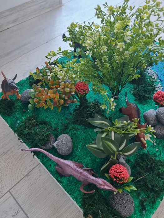 Proiect biologie (clasa a V-a)