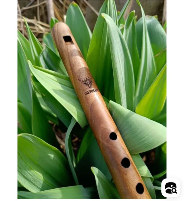 Флейта диатоническая