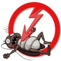 Dezinfeksiya xizmati klopa va trakanlarga qarshi.