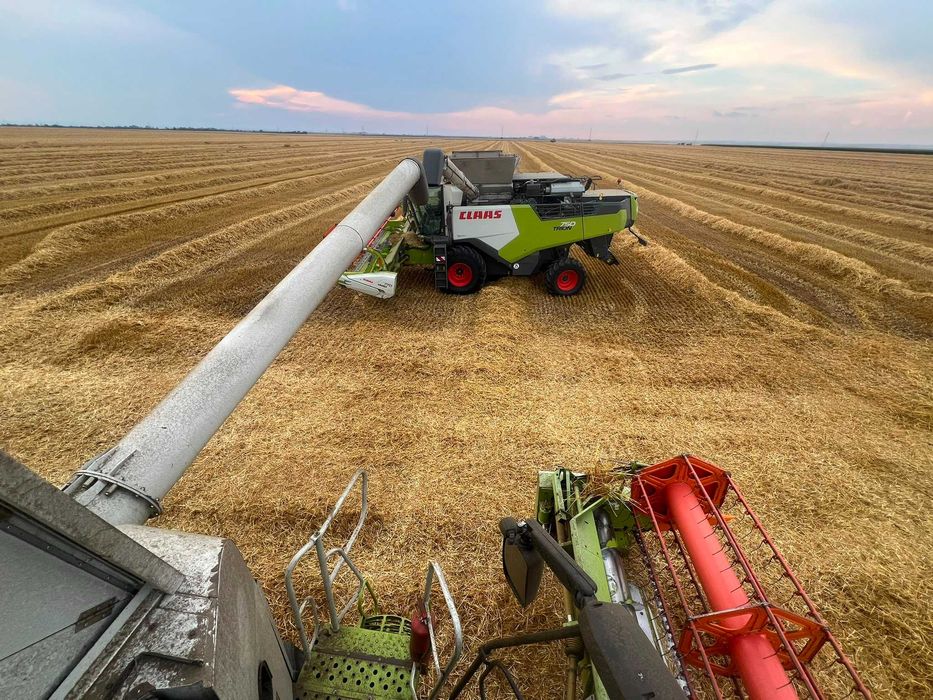 Prestări de servicii in Agricultura, Recoltat.