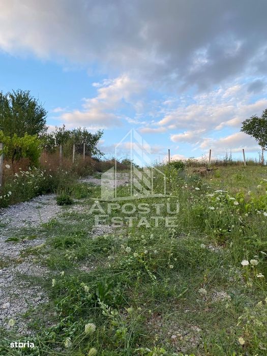 Teren intravilan cu vedere panoramica spre Retezat, Buituri, Hunedoara