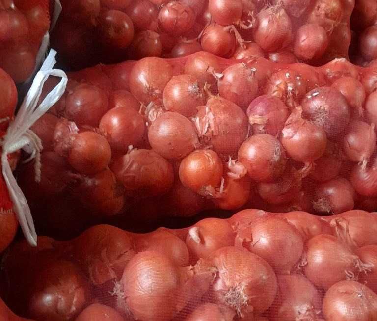 Yangi hosil piyoz sotiladi