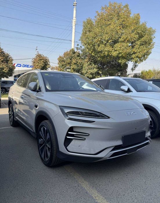 byd chempion elektr gbrit optom narx