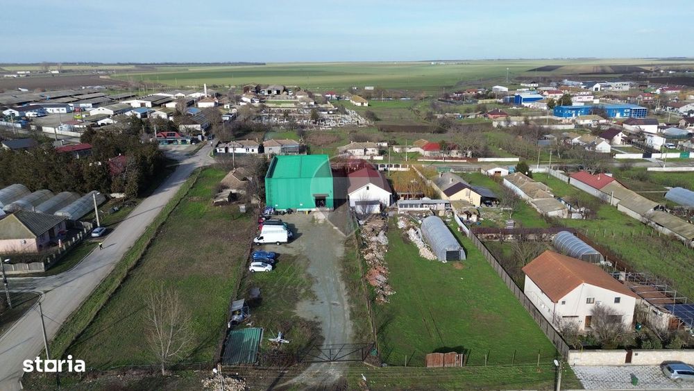 Hala de vanzare- Ovidiu