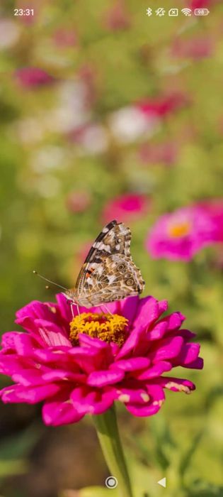 Redmi 13C в гаранция!!!