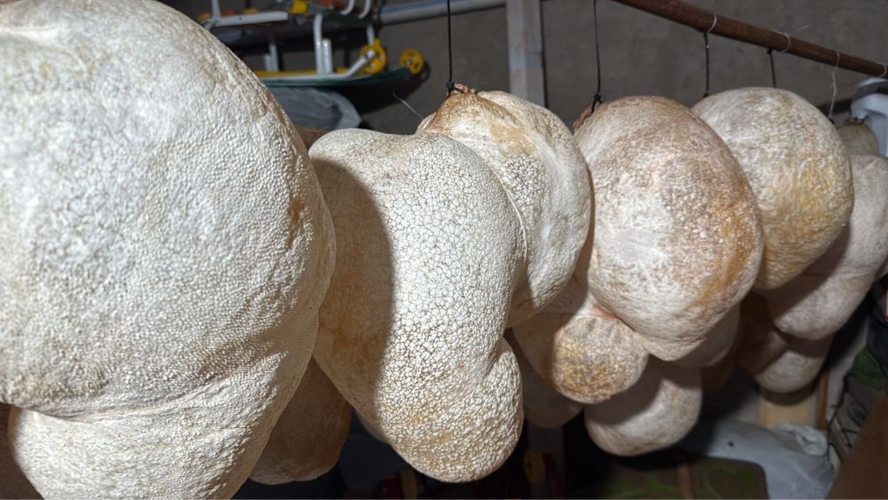 Кептірілген Қарын, карын май